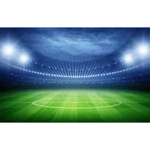 Фотообои рулонные Citydecor Стадион на флизелиновой основе 400x254 см