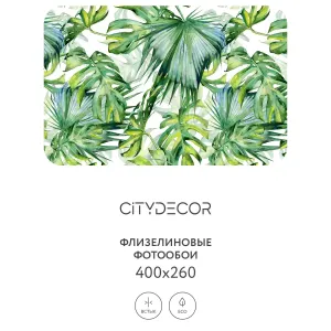 Фотообои рулонные Citydecor Абстракция 113 на флизелиновой основе 400x260 см