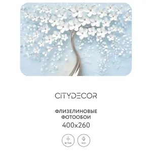 Фотообои рулонные Citydecor Абстракция 20 на флизелиновой основе 400x260 см