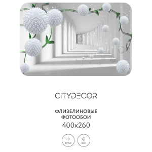 Фотообои рулонные Citydecor Абстракция 201 на флизелиновой основе 400x260 см