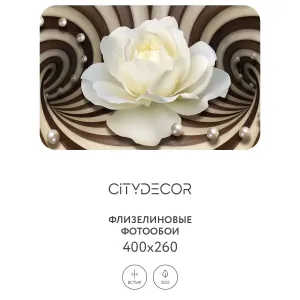 Фотообои рулонные Citydecor Абстракция 35 на флизелиновой основе 400x260 см