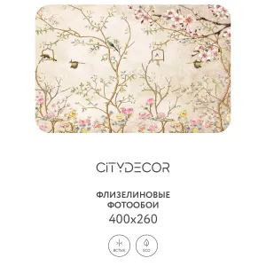 Фотообои рулонные Citydecor Абстракция 60 на флизелиновой основе 400x260 см