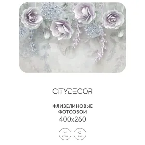 Фотообои рулонные Citydecor Абстракция 66 на флизелиновой основе 400x260 см