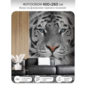 Фотообои рулонные Citydecor Животные и Птицы 55 на флизелиновой основе 400x260 см