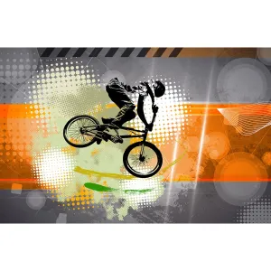 Фотообои рулонные Citydecor Байк трэвел на флизелиновой основе 400x260 см