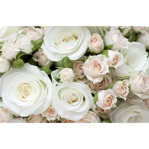 Фотообои рулонные Citydecor Букет роз на флизелиновой основе 400x260 см 