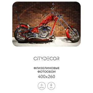 Фотообои рулонные Citydecor Транспорт 23 на флизелиновой основе 400x260 см