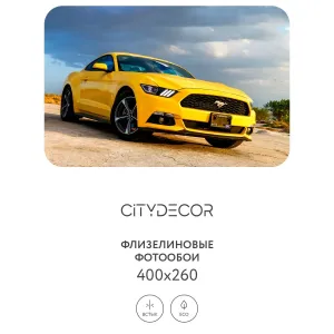 Фотообои рулонные Citydecor Транспорт 24 на флизелиновой основе 400x260 см