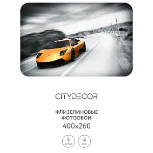 Фотообои рулонные Citydecor Транспорт 28 на флизелиновой основе 400x260 см