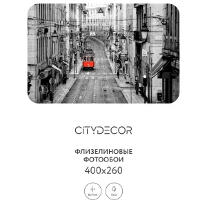 Фотообои рулонные Citydecor Города и Архитектура 53 на флизелиновой основе 400x260 см
