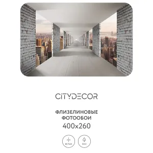 Фотообои рулонные Citydecor Города и Архитектура 83 на флизелиновой основе 400x260 см