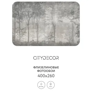 Дизайнерские фотообои рулонные Citydecor Dark Side 34 на флизелиновой основе 400x260 см