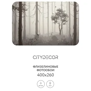 Дизайнерские фотообои рулонные Citydecor Dark Side 35 на флизелиновой основе 400x260 см