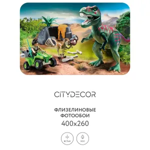 Фотообои рулонные Citydecor Детская 347 на флизелиновой основе 400x260 см