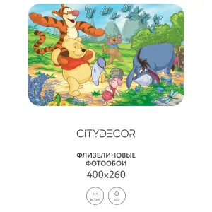 Фотообои рулонные Citydecor Детская 361 на флизелиновой основе 400x260 см