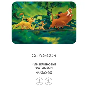 Фотообои рулонные Citydecor Детская 362 на флизелиновой основе 400x260 см