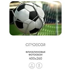 Фотообои рулонные Citydecor Детская 379 на флизелиновой основе 400x260 см