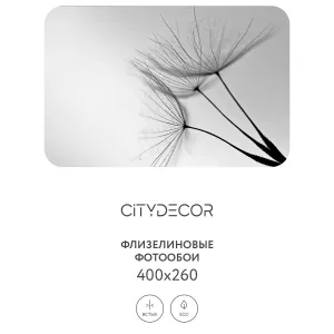 Фотообои рулонные Citydecor Цветы и Растения 138 на флизелиновой основе 400x260 см