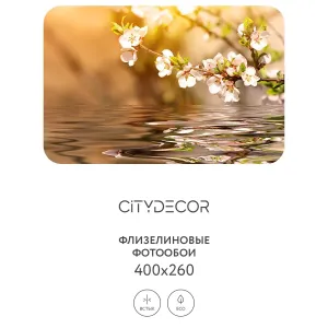 Фотообои рулонные Citydecor Цветы и Растения 151 на флизелиновой основе 400x260 см