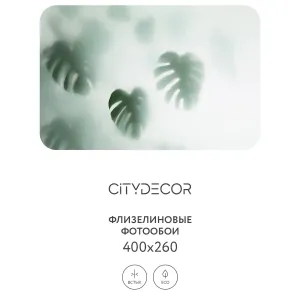 Фотообои рулонные Citydecor Цветы и Растения 156 на флизелиновой основе 400x260 см