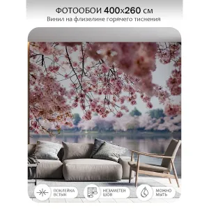 Фотообои рулонные Citydecor Цветы и Растения 49 на флизелиновой основе 400x260 см