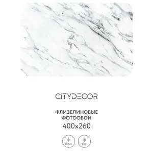 Фотообои рулонные Citydecor Флюид Арт 69 на флизелиновой основе 400x260 см