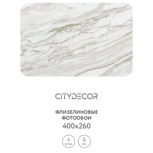 Фотообои рулонные Citydecor Флюид Арт 74 на флизелиновой основе 400x260 см