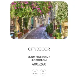 Фотообои рулонные Citydecor Фреска 54 на флизелиновой основе 400x260 см Фотообои рулонные Citydecor Фреска 54 на флизелиновой основе 400x260 см