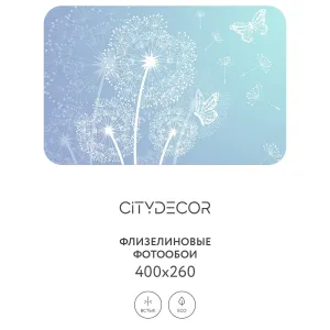 Фотообои рулонные Citydecor Невесомость 2 на флизелиновой основе 400x260 см