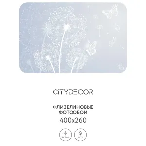 Фотообои рулонные Citydecor Невесомость 3 на флизелиновой основе 400x260 см