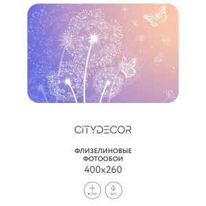 Фотообои рулонные Citydecor Невесомость 5 на флизелиновой основе 400x260 см