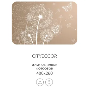 Фотообои рулонные Citydecor Невесомость 7 на флизелиновой основе 400x260 см