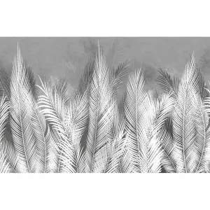 Фотообои рулонные Citydecor Пальмовые листья 4 на флизелиновой основе 400x260 см