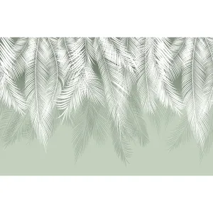 Фотообои рулонные Citydecor Пальмовые листья (олива) на флизелиновой основе 400x260 см