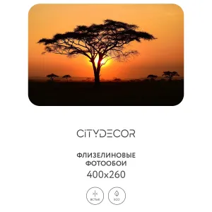 Фотообои рулонные Citydecor Природа 94 на флизелиновой основе 400x260 см