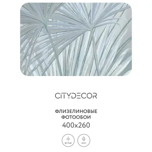 Дизайнерские фотообои рулонные Citydecor Sunset 34 на флизелиновой основе 400x260 см