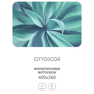 Дизайнерские фотообои рулонные Citydecor Sunset 38 на флизелиновой основе 400x260 см