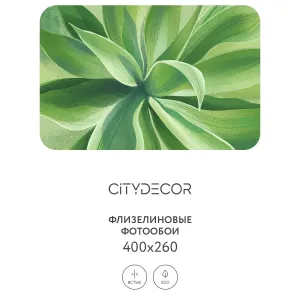 Дизайнерские фотообои рулонные Citydecor Sunset 39 на флизелиновой основе 400x260 см