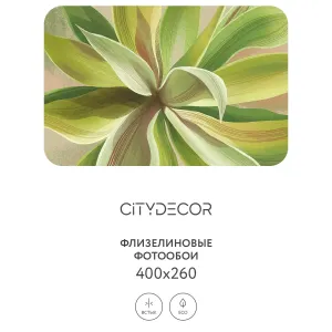 Дизайнерские фотообои рулонные Citydecor Sunset 42 на флизелиновой основе 400x260 см