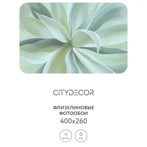 Дизайнерские фотообои рулонные Citydecor Sunset 43 на флизелиновой основе 400x260 см