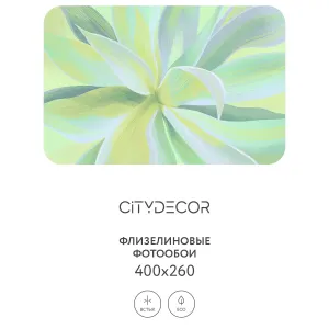 Дизайнерские фотообои рулонные Citydecor Sunset 45 на флизелиновой основе 400x260 см