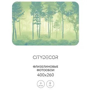 Дизайнерские фотообои рулонные Citydecor Таинственный лес 11 на флизелиновой основе 400x260 см