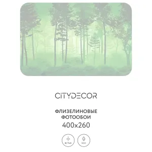 Дизайнерские фотообои рулонные Citydecor Таинственный лес 12 на флизелиновой основе 400x260 см
