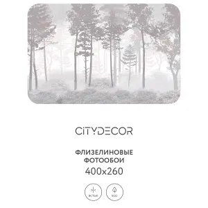 Дизайнерские фотообои рулонные Citydecor Таинственный лес 15 на флизелиновой основе 400x260 см