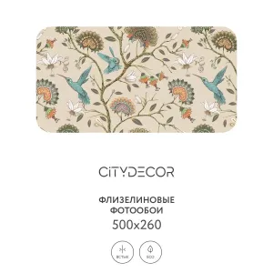 Фотообои рулонные Citydecor Абстракция 1 на флизелиновой основе 500x260 см