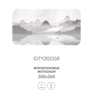 Фотообои рулонные Citydecor Абстракция 107 на флизелиновой основе 500x260 см