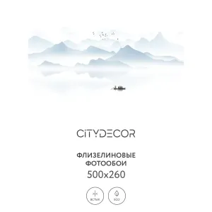 Фотообои рулонные Citydecor Абстракция 110 на флизелиновой основе 500x260 см