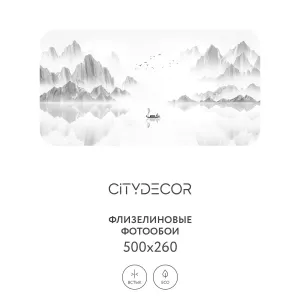 Фотообои рулонные Citydecor Абстракция 112 на флизелиновой основе 500x260 см