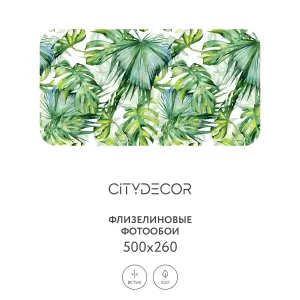 Фотообои рулонные Citydecor Абстракция 113 на флизелиновой основе 500x260 см