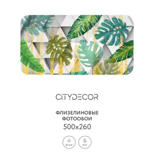 Фотообои рулонные Citydecor Абстракция 15 на флизелиновой основе 500x260 см